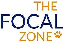 The Focal Zone